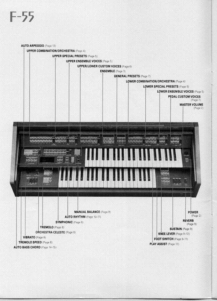 YAMAHA F55 ORGAN USER MANUAL Service Manual download, schematics