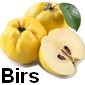 birs picture